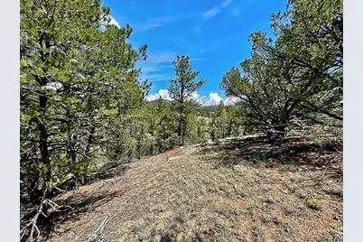 7080 Copper Gulch Road, Cotopaxi, CO 81223 - Photo 8
