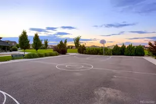 16168 Elizabeth St, Thornton, CO 80602 - Photo 46