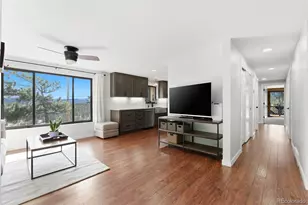 3155 Chestnut Cir, Evergreen, CO 80439 - Photo 4