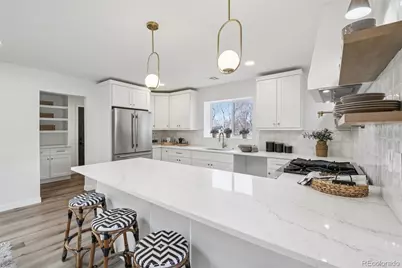 3005 S Race Street, Denver, CO 80210 - Photo 8