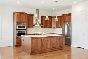 11844 Discovery Cir, Parker, CO 80138 - Photo 10