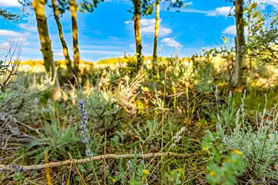 1430 Coil Drive, Fairplay, CO 80440 - Photo 28