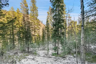 Clear Creek Rd, Evergreen, CO 80439 - Photo 14