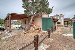 31390 Co Rd 384B, Buena Vista, CO 81211 - Photo 46