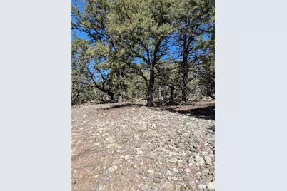 2202 Spanish Creek Road, Crestone, CO 81131 - Photo 8