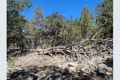 2202 Spanish Creek Road, Crestone, CO 81131 - Photo 6