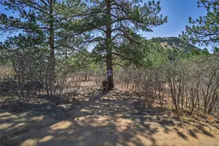 640 Ridgeway Dr, Cotopaxi, CO 81223 - Photo 26