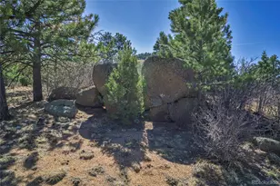 640 Ridgeway Dr, Cotopaxi, CO 81223 - Photo 30