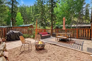 15916 S Elk Creek Rd, Pine, CO 80470 - Photo 18