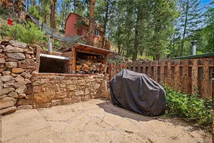 15916 S Elk Creek Rd, Pine, CO 80470 - Photo 20