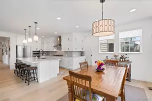 11261 Moonshimmer St, Littleton, CO 80125 - Photo 8