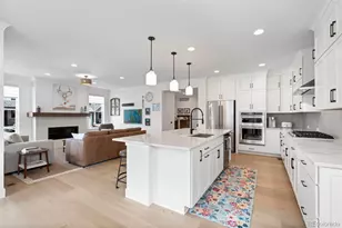 11261 Moonshimmer St, Littleton, CO 80125 - Photo 4
