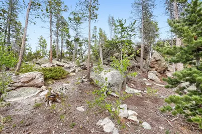 2 Debra Ann Road, Golden, CO 80403 - Photo 30