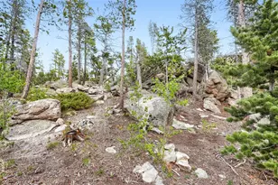 2 Debra Ann Rd, Golden, CO 80403 - Photo 30