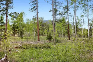 2 Debra Ann Rd, Golden, CO 80403 - Photo 28
