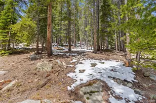 218 Brook Dr, Idaho Springs, CO 80452 - Photo 16