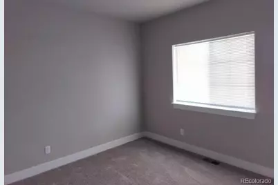 1754 Avery Plaza Street, Windsor, CO 80550 - Photo 8