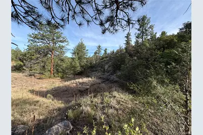 594 Maurice Drive, Cotopaxi, CO 81223 - Photo 18