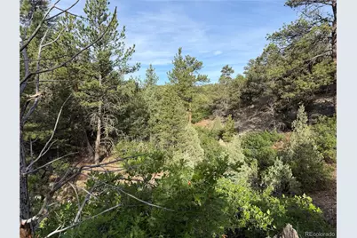 594 Maurice Drive, Cotopaxi, CO 81223 - Photo 16