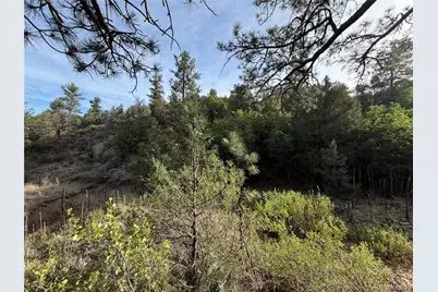 594 Maurice Drive, Cotopaxi, CO 81223 - Photo 4