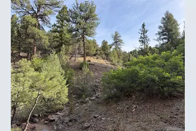 594 Maurice Drive, Cotopaxi, CO 81223 - Photo 14