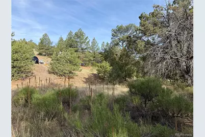 594 Maurice Drive, Cotopaxi, CO 81223 - Photo 22