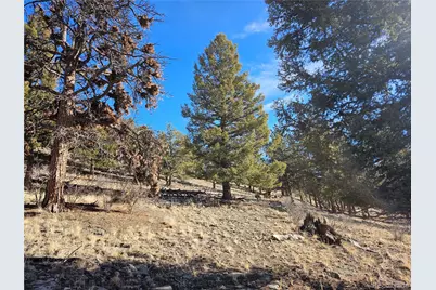 Bonell Drive, Fairplay, CO 80440 - Photo 12