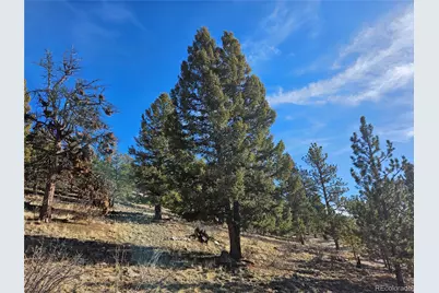 Bonell Drive, Fairplay, CO 80440 - Photo 14