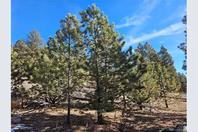 Bonell Drive, Fairplay, CO 80440 - Photo 18