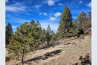 Bonell Drive, Fairplay, CO 80440 - Photo 40