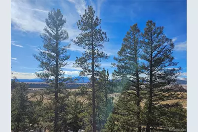 Bonell Drive, Fairplay, CO 80440 - Photo 38