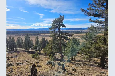 Bonell Drive, Fairplay, CO 80440 - Photo 32