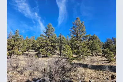 Bonell Drive, Fairplay, CO 80440 - Photo 20