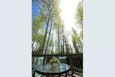 18 Hawn Drive, Frisco, CO 80443 - Photo 26