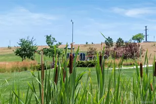 9352 Yucca Way, Arvada, CO 80007 - Photo 8