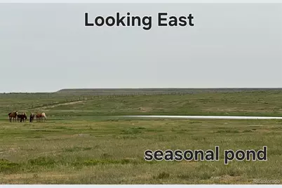 County Road 96, Pierce, CO 80650 - Photo 2