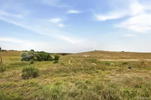 5379 Streambed Trail, Parker, CO 80134 - Photo 44