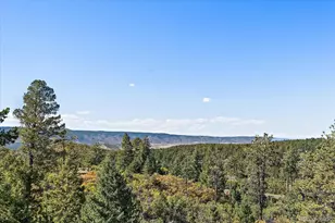 8015 Eagle Rd, Larkspur, CO 80118 - Photo 28