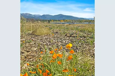 227 County Road 4911, Grand Lake, CO 80447 - Photo 4
