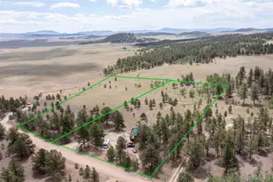 2883 Wagon Wheel Rd, Hartsel, CO 80449 - Photo 50