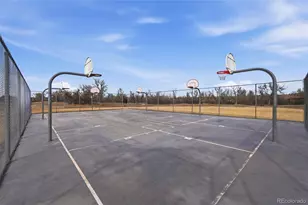 9227 Rolling Way, Parker, CO 80134 - Photo 46