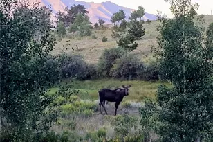 22800 Co Rd 185C, Salida, CO 81201 - Photo 38