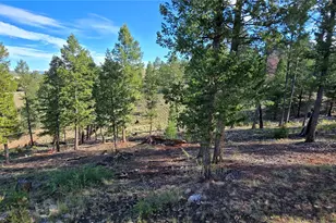 22800 Co Rd 185C, Salida, CO 81201 - Photo 28