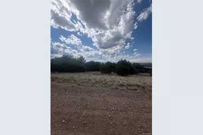 Lot 558 Mount Shavano, Colorado City, CO 81019 - Photo 4