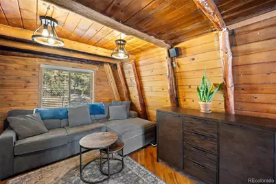 25874 Mosier Street, Conifer, CO 80433 - Photo 10