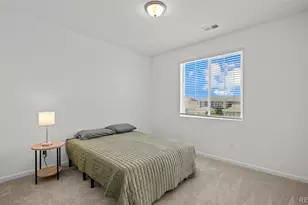 880 Sunflower Dr, Brighton, CO 80601 - Photo 14