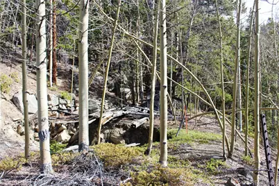 4-2 Lamertine Road, Idaho Springs, CO 80452 - Photo 6