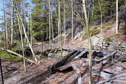 4-2 Lamertine Road, Idaho Springs, CO 80452 - Photo 4