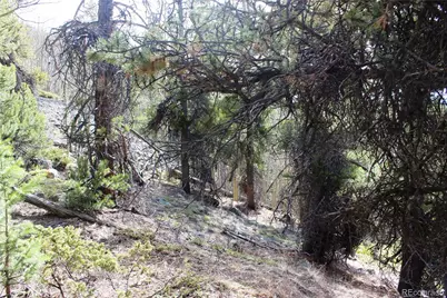 4-2 Lamertine Road, Idaho Springs, CO 80452 - Photo 12