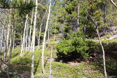 4-2 Lamertine Road, Idaho Springs, CO 80452 - Photo 10